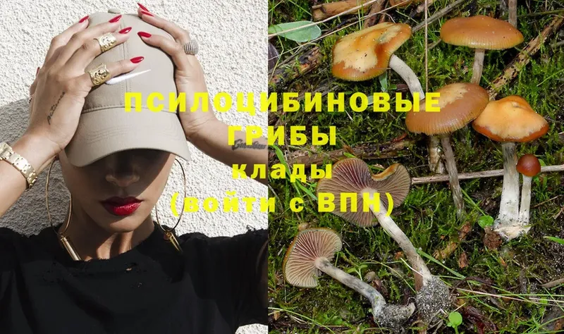 Псилоцибиновые грибы Cubensis  Большой Камень 